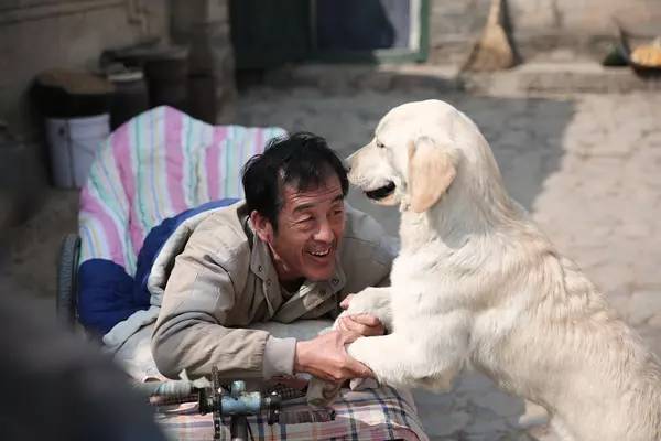 带狗进剧组，一段特殊的幕后故事