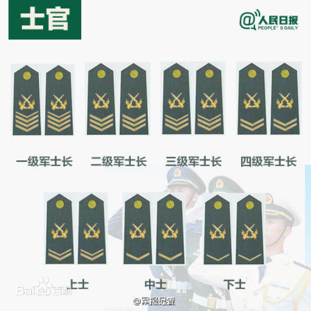 五级士官待遇，荣誉与责任的体现