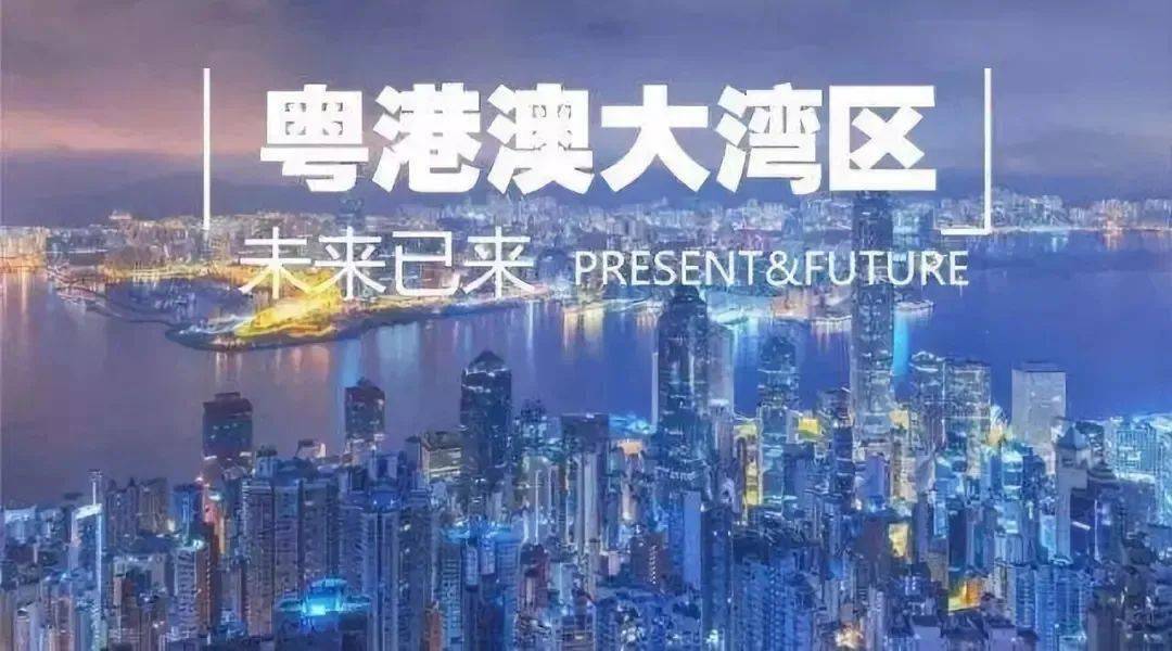 成立长江船代公司，探索航运新时代的策略与实践