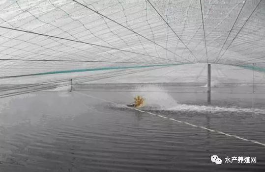 水产大棚升温策略与操作实践