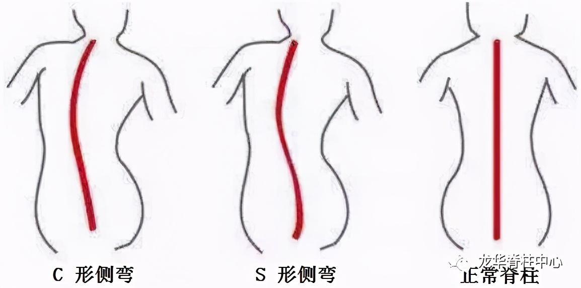 测量中线元，概念、应用与重要性