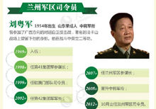 大军区副职待遇，解析与探讨