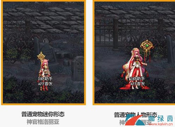 黄金神相，神秘力量的象征与传承