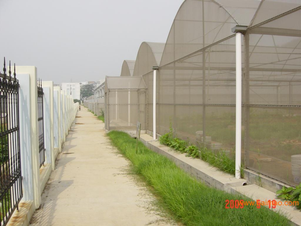 养殖保温大棚搭建方法，构建高效养殖环境的实用指南