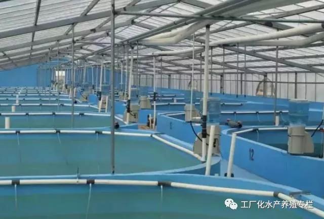 工厂化养鱼大棚，现代水产养殖的新趋势