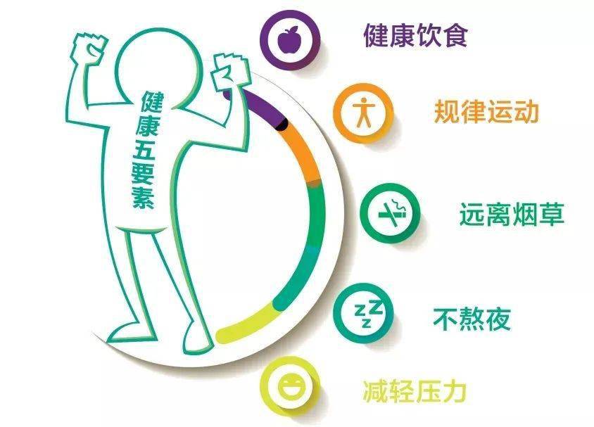 派威健身，塑造健康生活的力量之源