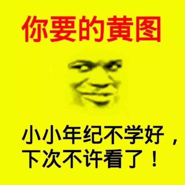 斗小黄图表情包，网络文化的新宠
