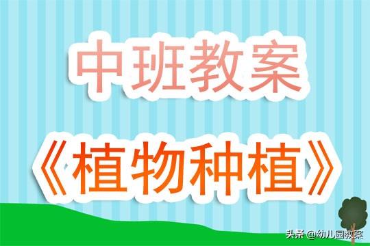 大班有用的植物美术教案