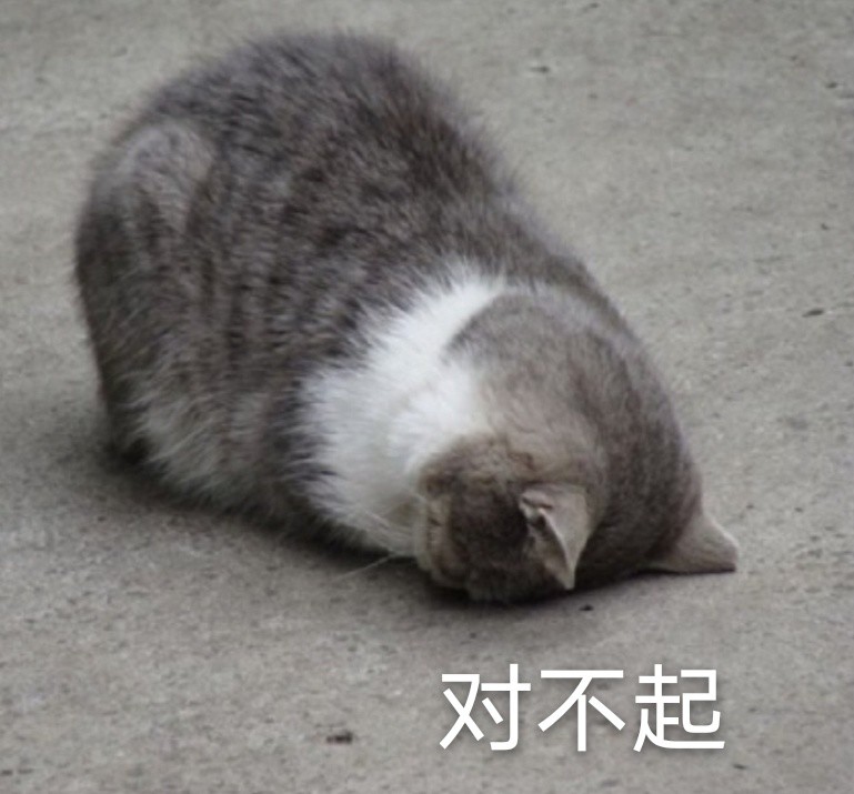 艹猫表情包，网络时代的萌宠新宠