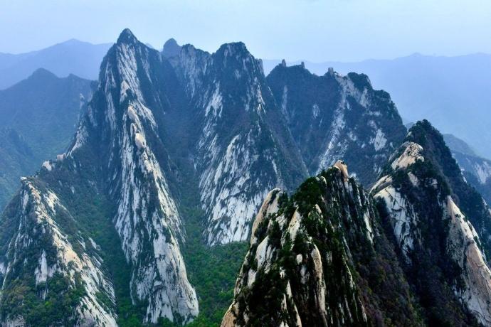 景观花品种图片及名称，绚丽多彩的自然画卷