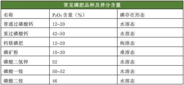 绿化苗木品种价表及其市场分析