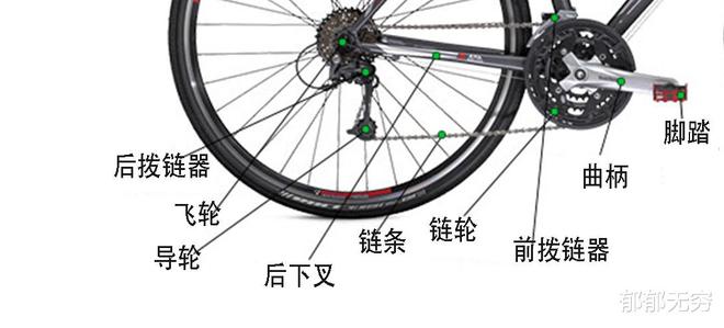 普通自行车飞轮拆解图，深入了解自行车机械构造的关键一环