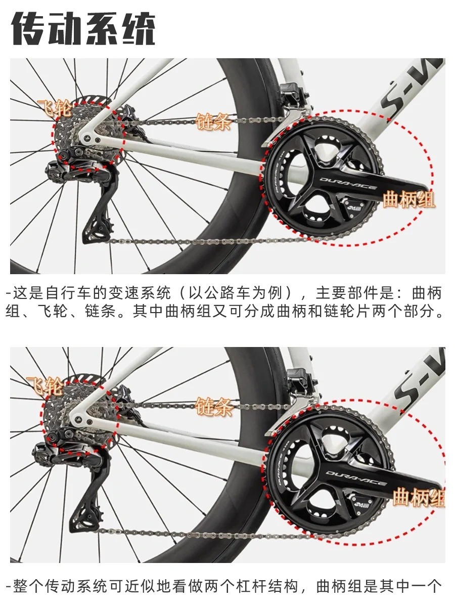变速自行车后轮拆解图，深入了解自行车机械构造的绝佳途径