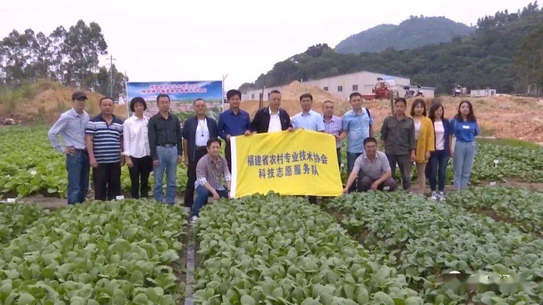 如何拆解老后拨，一种细致入微的技术解析