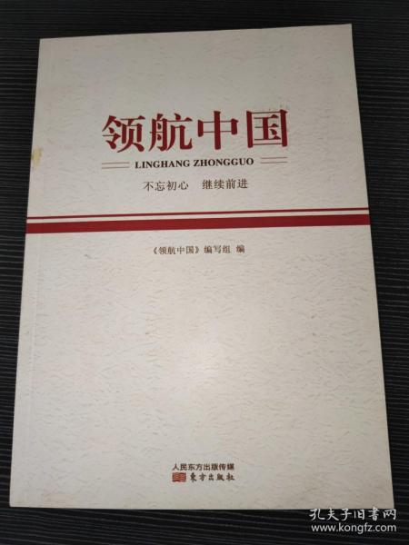 领航中国，一本书的启示与深度洞察