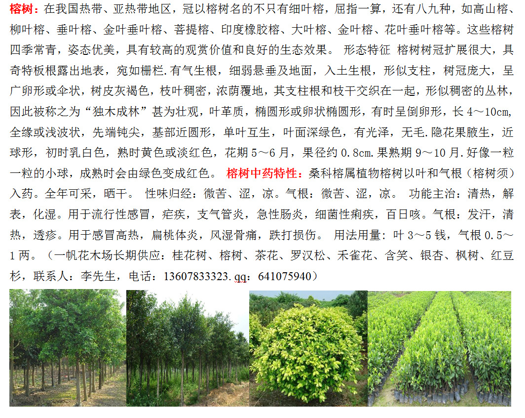 苗木品种网，一站式苗木品种查询与服务平台