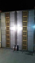 安尼平开自动门厂家，卓越品质与智能科技的完美结合