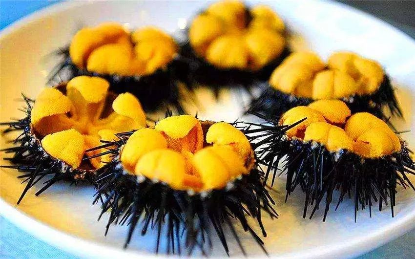 海胆蛋花汤，海洋的美味与文化的交融