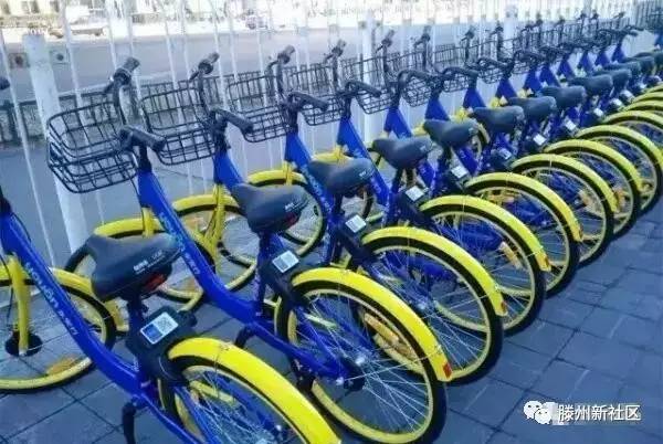 永安行公共自行车拆解，探索可持续性与资源循环利用