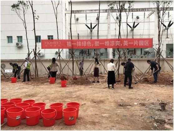 香樟树品种，多样性与独特魅力