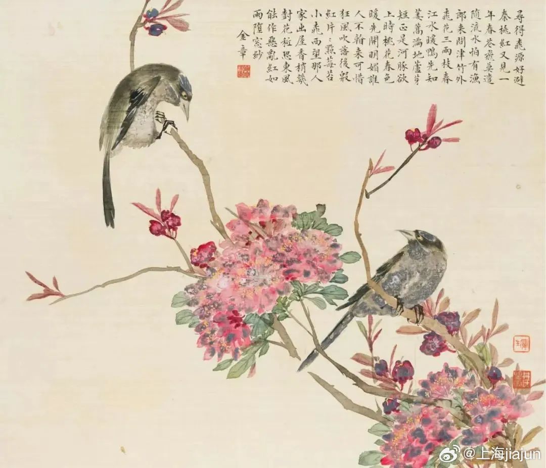 花鸟画与一本书的相遇，艺术与知识的交融之美