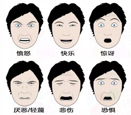 探索微表情心理学，一本不可或缺的指南
